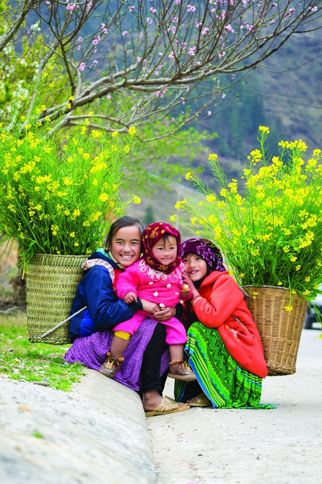 Lên Tây Bắc ngắm hoa xuân nở khắp núi rừng ảnh 3