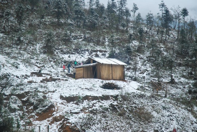 Tuyết đang phủ trắng đèo Ô Quý Hồ - Sa Pa ảnh 2