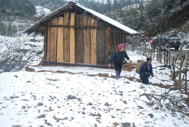 Tuyết đang phủ trắng đèo Ô Quý Hồ - Sa Pa ảnh 3