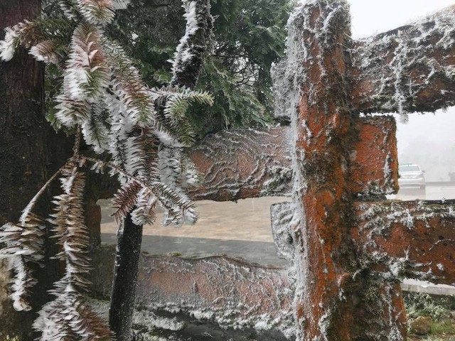 Tuyết đang phủ trắng đèo Ô Quý Hồ - Sa Pa ảnh 7