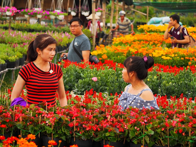 Làng hoa Sa Đéc đông khách những ngày cận Tết ảnh 11