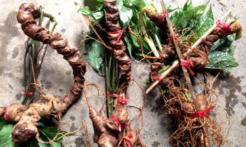 Những món quà Tết bạc tỷ được nhà giàu Việt săn lùng ảnh 3