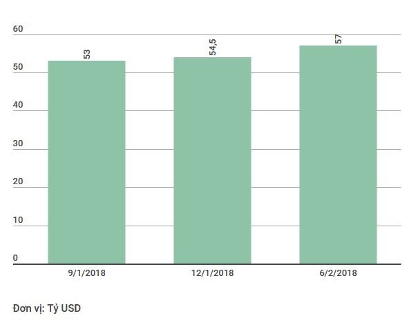 Thống đốc Ngân hàng Nhà nước: Dự trữ ngoại hối đạt mức mới, hơn 57 tỷ USD ảnh 1
