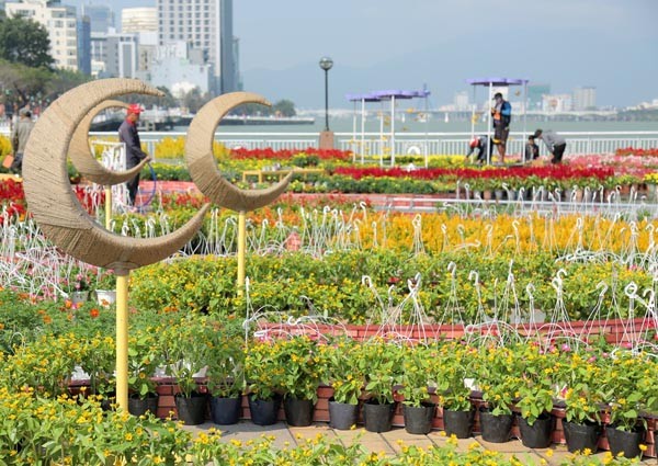 Đà Nẵng: Đường hoa “Xuân sắc màu” và 3 điểm bắn pháo hoa phục vụ Tết ảnh 2