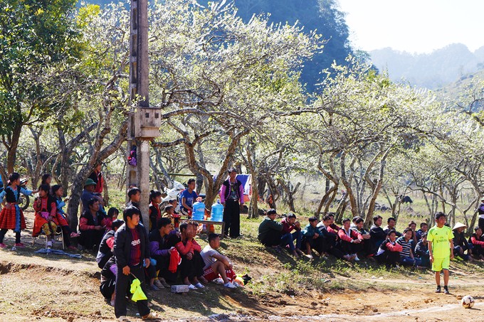 Mùa hoa mận nở trắng trời cao nguyên Mộc Châu ảnh 6