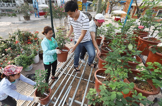 Hàng nghìn giống hoa hội tụ tại Lễ hội hoa hồng Bulgaria ảnh 2