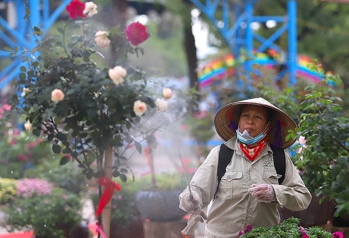 Hàng nghìn giống hoa hội tụ tại Lễ hội hoa hồng Bulgaria ảnh 9