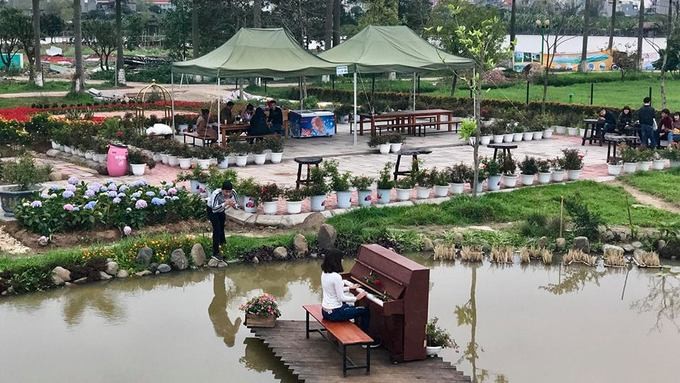 Mê cung bằng cây rộng 10.000 m2 ở ngoại thành Hà Nội ảnh 9