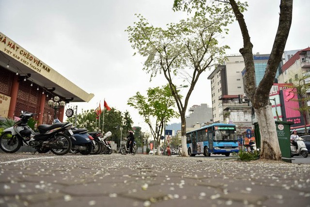 Mùa cây thay lá, Hà Nội đẹp mê hồn khiến bao người đắm say ảnh 8