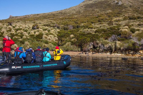 Cây thông cô đơn nhất thế giới ảnh 1