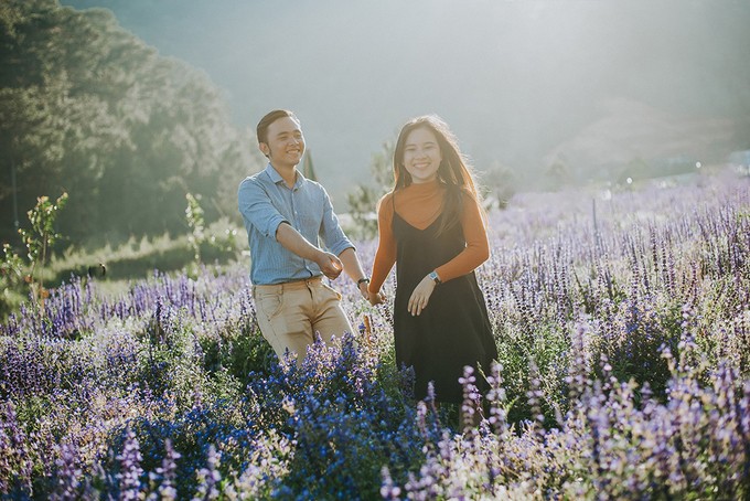 Những cánh đồng hoa 'gây sốt' thời gian qua ảnh 7