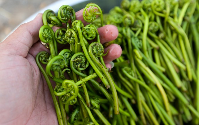 Đặc sản miền Tây trên vỉa hè Sài Gòn ảnh 10