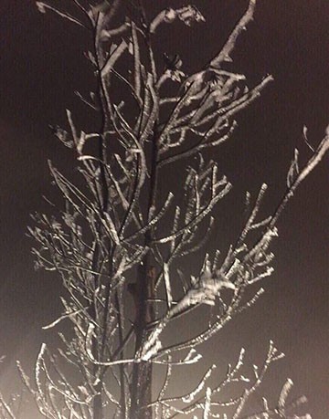 Fansipan dưới 0 độ, xuất hiện băng giá ảnh 1