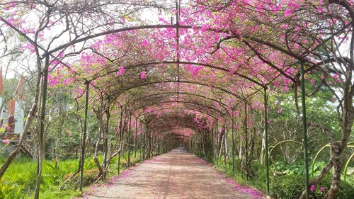 5 điểm tránh nóng cho giới trẻ Sài Gòn ảnh 3