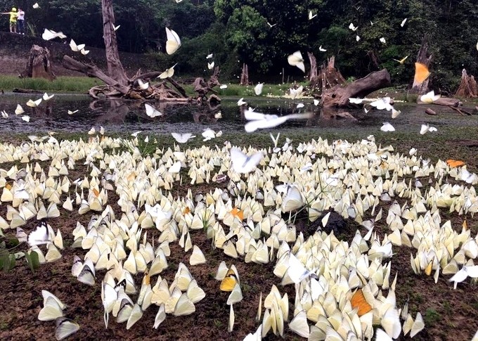 7 điểm đến hấp dẫn ở Ninh Bình dịp 30/4 ảnh 6