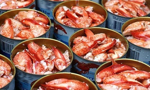 Tôm hùm - từ thức ăn của nhà nghèo đến bàn tiệc đại gia ảnh 2