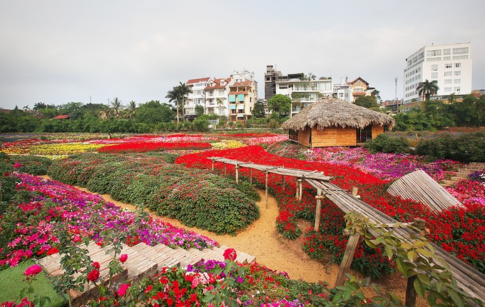 Thung lũng hoa tỏa sắc giữa Thủ đô ảnh 2