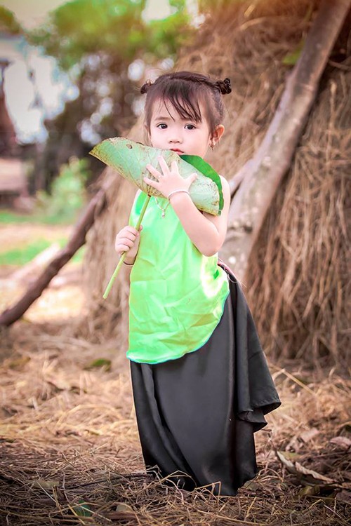 Cánh đồng sen 5 ha nở rộ giữa nắng hạn Ninh Thuận ảnh 5