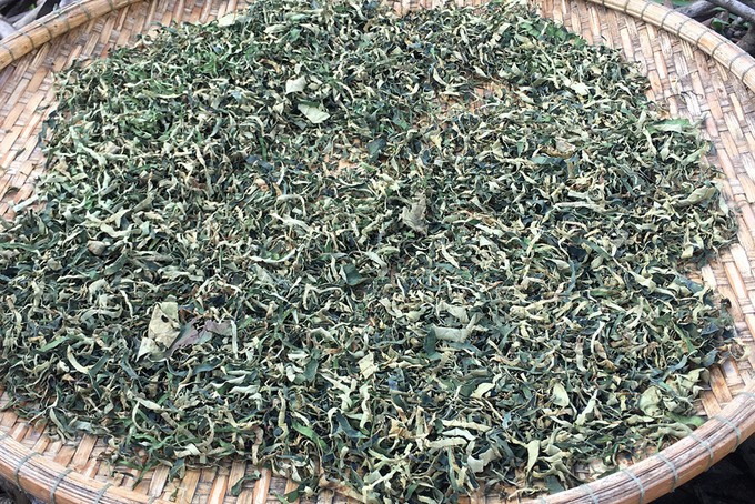 Cánh đồng sen 5 ha nở rộ giữa nắng hạn Ninh Thuận ảnh 9