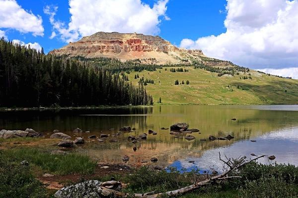 Đại gia 87 tuổi chôn kho báu triệu USD trên núi cho cả thế giới đi tìm ảnh 1