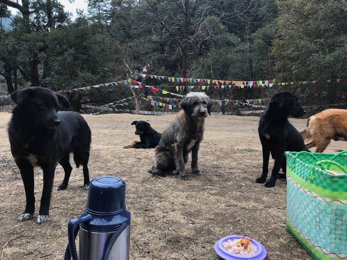 7 điều ít người biết về thủ đô của Bhutan ảnh 7