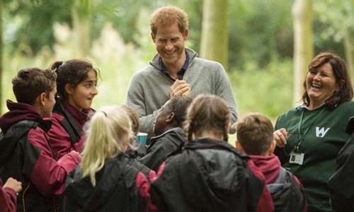 Hoàng tử Harry: Từ tay chơi tai tiếng đến 'báu vật' hoàng gia ảnh 2