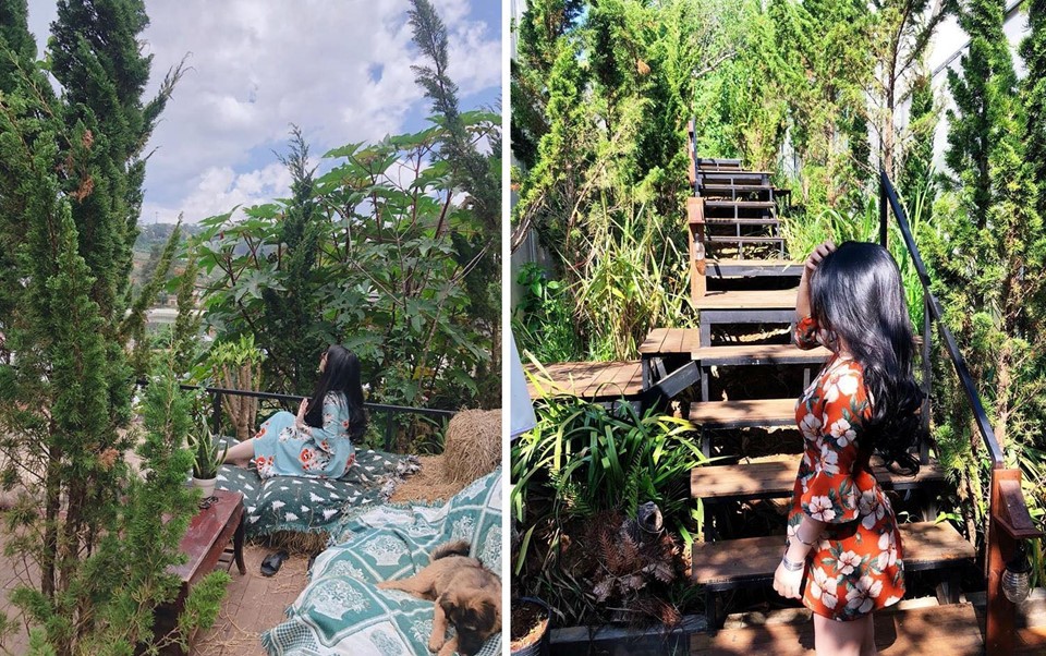 4 homestay xanh mướt, yên tĩnh và đầy góc 'sống ảo' tại Đà Lạt ảnh 10