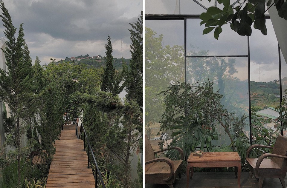 4 homestay xanh mướt, yên tĩnh và đầy góc 'sống ảo' tại Đà Lạt ảnh 12