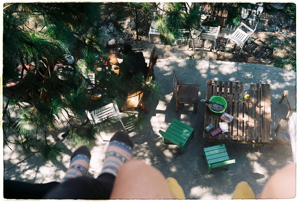 4 homestay xanh mướt, yên tĩnh và đầy góc 'sống ảo' tại Đà Lạt ảnh 17