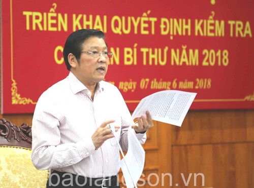 Ban Bí thư triển khai quyết định kiểm tra công tác tổ chức cán bộ ảnh 1