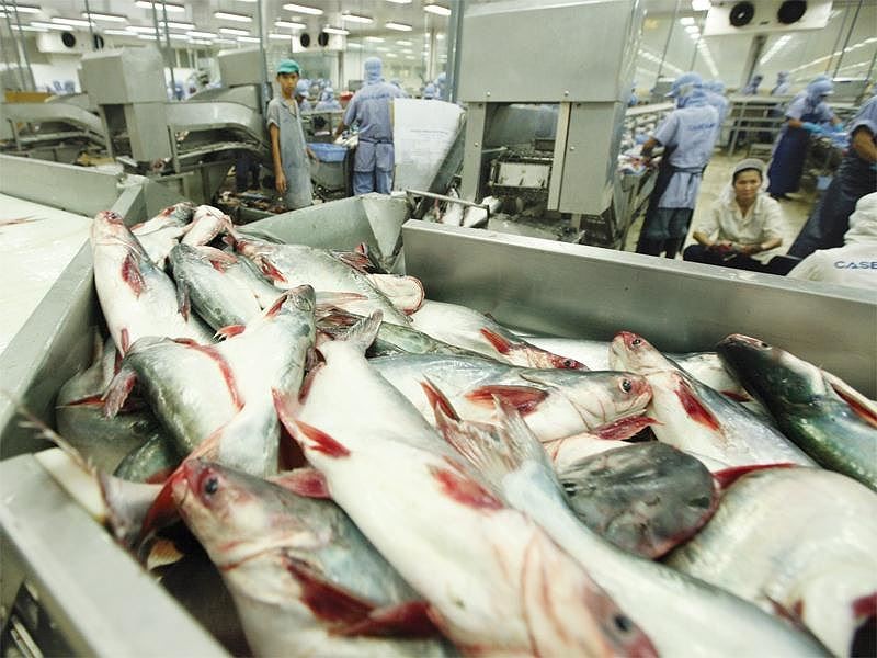 Trận đánh FTA và thế cờ cho doanh nghiệp Việt (bài 3): Nước đi chiến thuật trên bàn cờ toàn cầu hóa ảnh 2