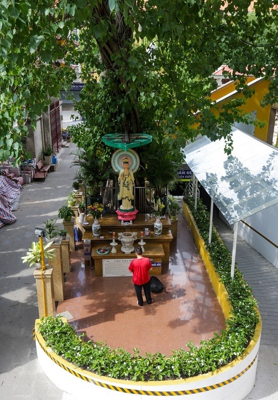 Chùa hơn 50 năm tuổi có tháp chuông cao nhất Sài Gòn ảnh 8