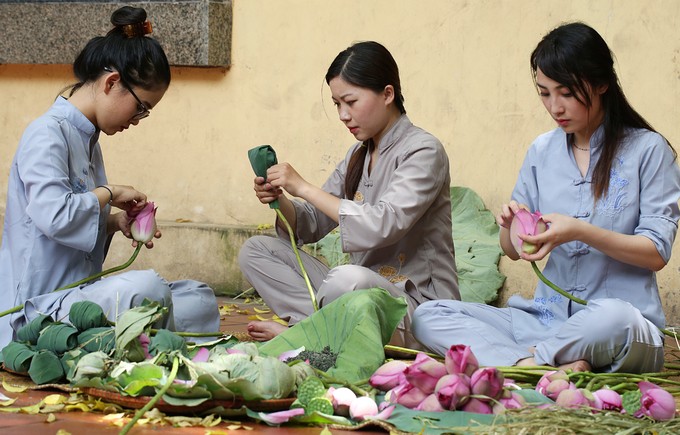 Người Hà Nội hái sen ủ trà ảnh 8