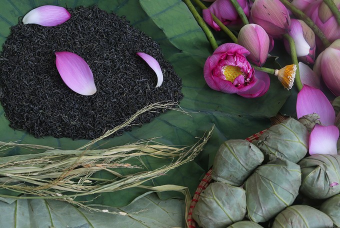 Người Hà Nội hái sen ủ trà ảnh 10