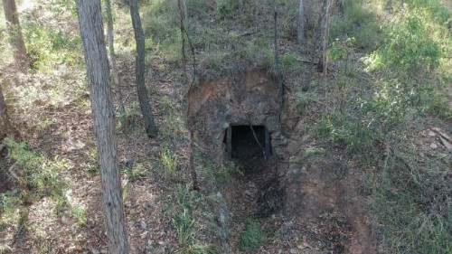 Chủ nhà sốc khi phát hiện ra mỏ vàng ở vườn sau nhà ảnh 1