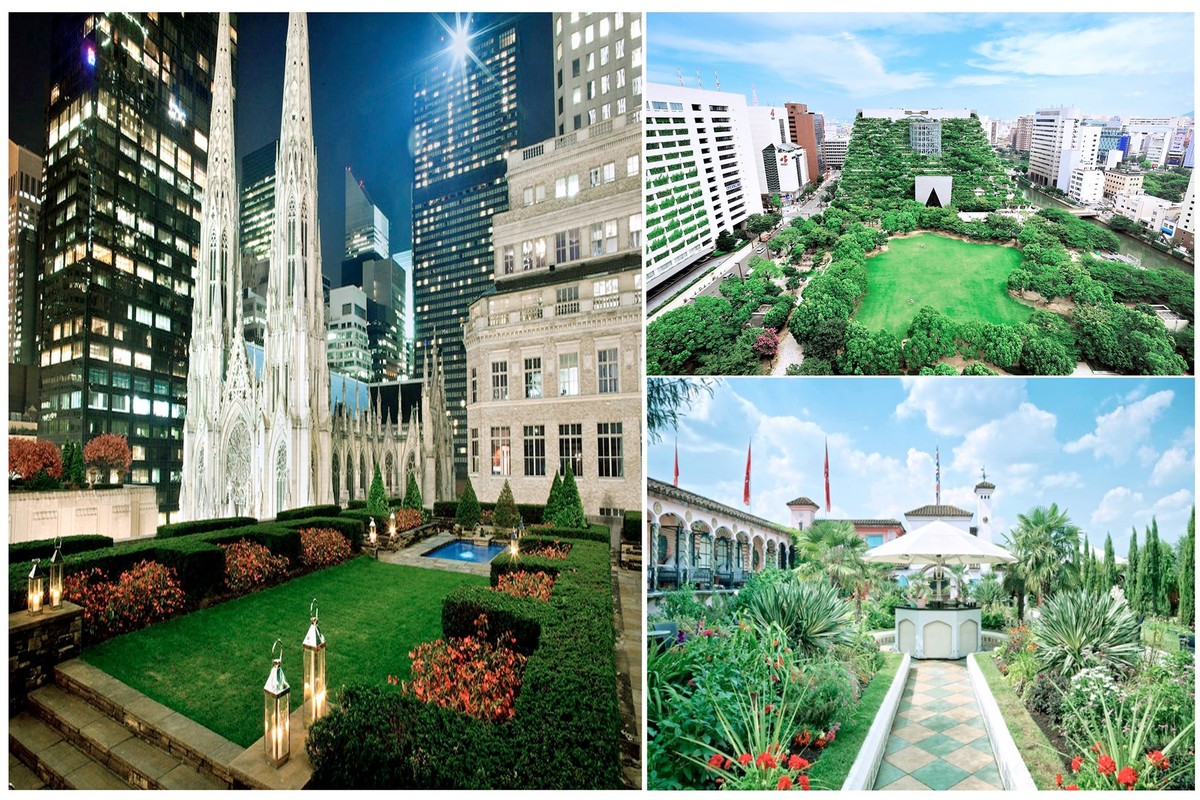 Khu “vườn chân mây” hiếm có trong lòng Hà Nội ảnh 1