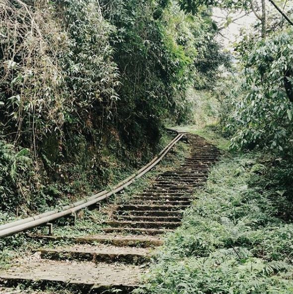 Nhiệt độ chỉ 18 độ C, Tam Đảo trở thành “thiên đường” trốn nắng tuyệt vời ảnh 4