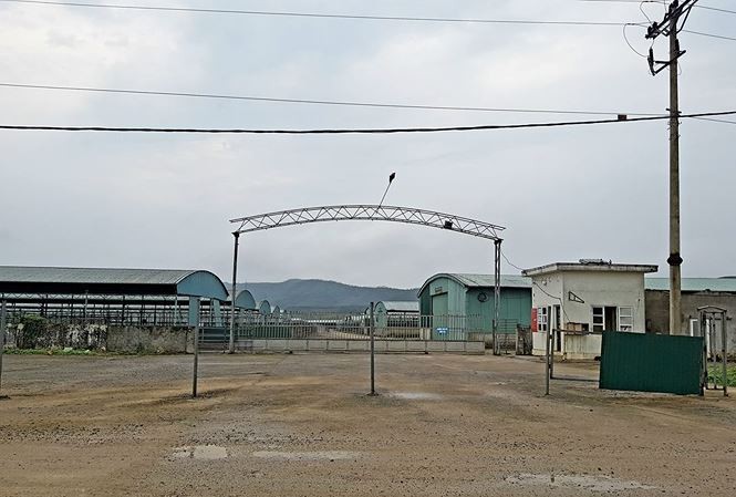 Hà Tĩnh: Chất vấn trách nhiệm quản lý đại dự án nông nghiệp “chết lâm sàng” ảnh 1