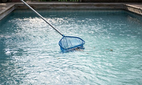 Bể bơi 300 triệu trở thành gánh nặng của nhà tôi sau 2 năm xây dựng ảnh 1