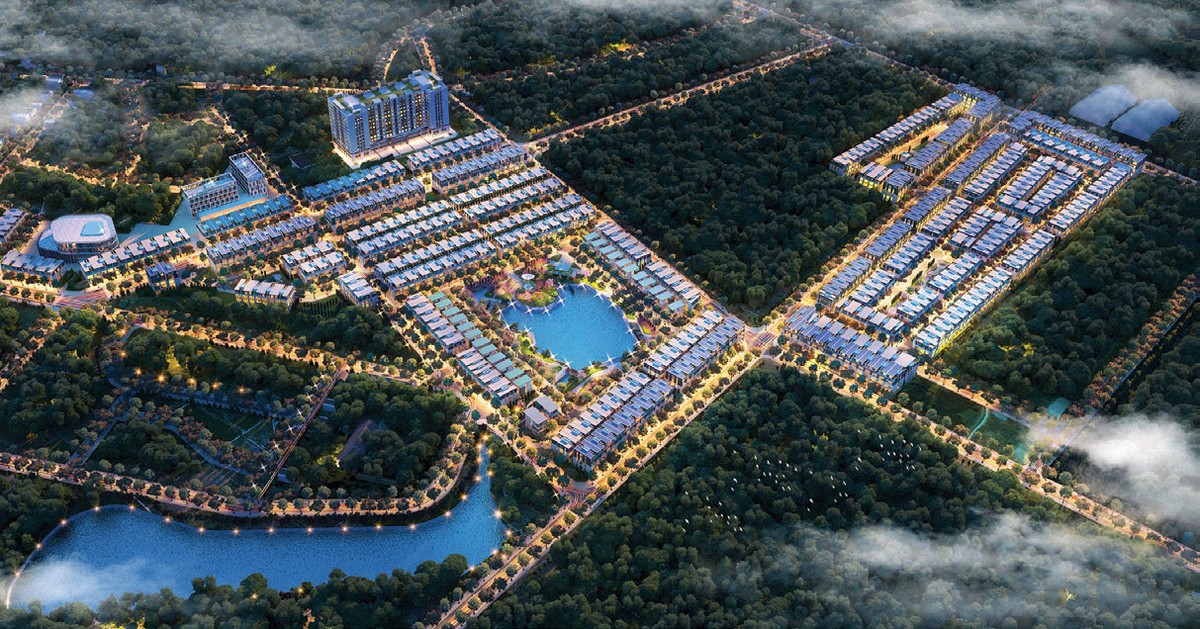 Đầu tư thông minh cùng Tập đoàn TMS ảnh 1