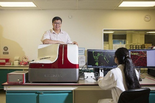 Lý do Singapore hấp dẫn startup thế giới ảnh 1