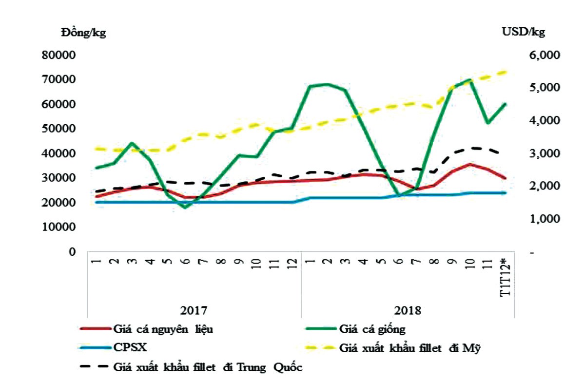 Thách thức của Vĩnh Hoàn ảnh 1