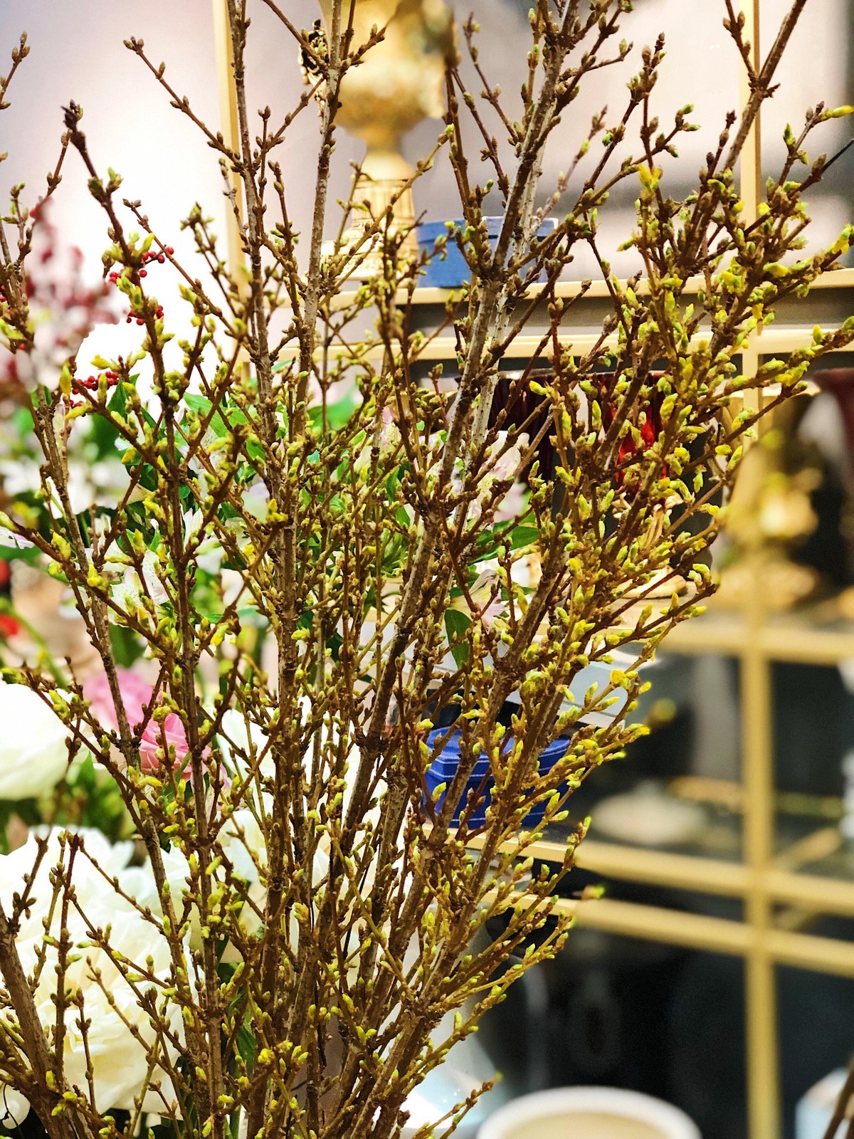 Đại gia Việt chi vài chục triệu đồng rước hoa ngoại về chơi Tết ảnh 2