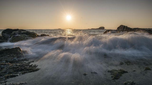 Tháng 3, khám phá mùa rêu Bàn Than ảnh 6