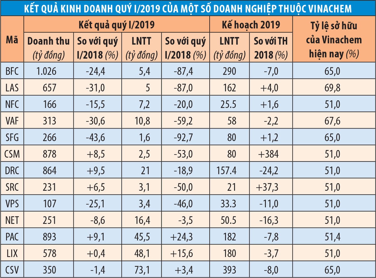 Nhiều công ty con khó khăn, dự báo Vinachem khó thoái vốn ảnh 1
