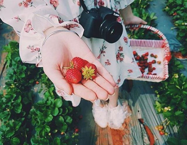 Đổi gió cuối tuần với 3 điểm đến “siêu hot” ngay gần Hà Nội ảnh 9