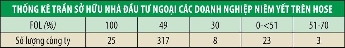 Lối khác cho vốn ngoại vào doanh nghiệp Việt ảnh 1