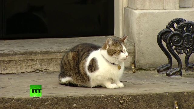 “Nhân vật quyền lực” thoải mái tiếp cận siêu xe “quái thú” của ông Trump tại Anh ảnh 1