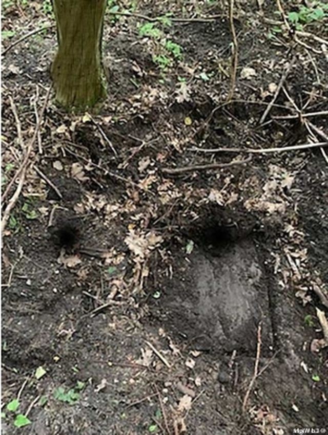 Phát hiện kho báu bí mật chứa đầy vàng trị giá 250 triệu bảng Anh của Đức Quốc Xã ảnh 1