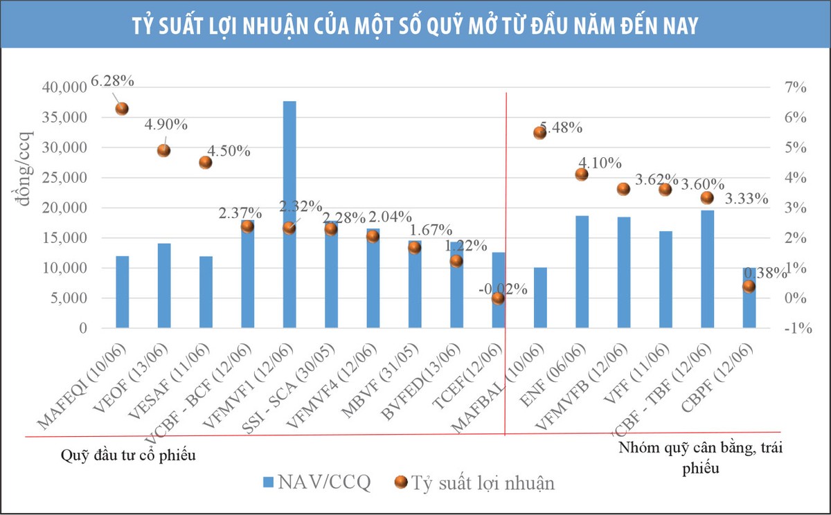 Quỹ mở nhọc nhằn kiếm lãi  ảnh 1